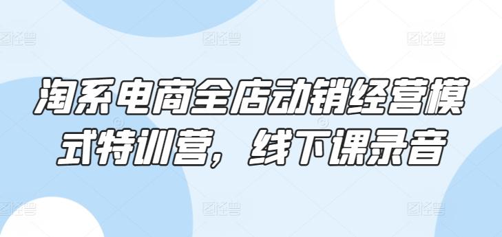 淘系电商全店动销经营模式特训营，线下课录音-点子口袋网