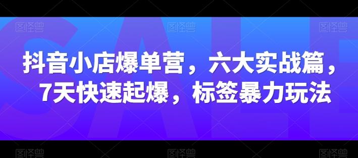 抖音小店爆单营，六大实战篇，7天快速起爆，标签暴力玩法-点子口袋网