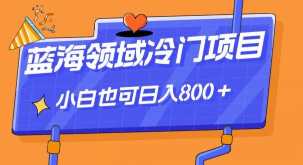 蓝海领域冷门赛道，一单39.9，日入800＋-点子口袋网