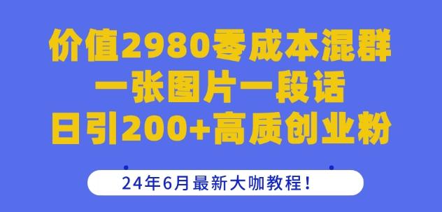 价值2980零成本混群一张图片一段话日引200+高质创业粉，24年6月最新大咖教程【揭秘】-点子口袋网