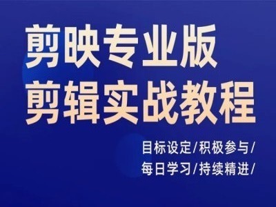 剪映专业版剪辑实战教程，目标设定/积极参与/每日学习/持续精进-点子口袋网