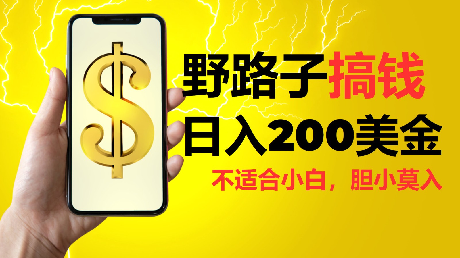 挂机野路子搞钱，日入200美金，路子很野，小白莫入-点子口袋网