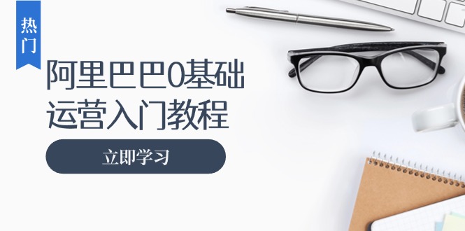 阿里巴巴运营零基础入门教程：涵盖开店、运营、推广，快速成为电商高手-点子口袋网