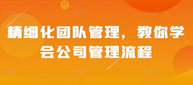 精细化团队管理，教你学会公司管理流程-点子口袋网