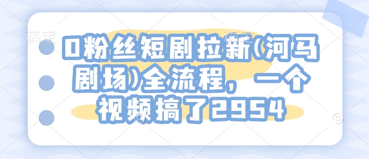 0粉丝短剧拉新(河马剧场)全流程，一个视频搞了2954-点子口袋网