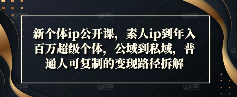 新个体ip公开课，素人ip到年入百万超级个体，公域到私域，普通人可复制的变现路径拆解-点子口袋网