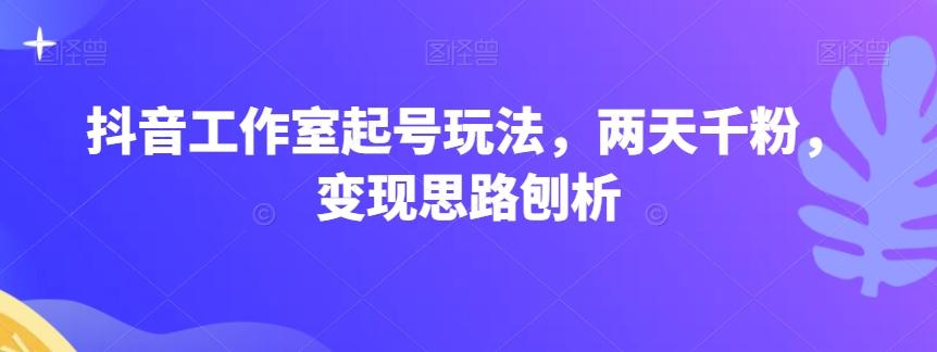 抖音工作室起号玩法，两天千粉，变现思路刨析-点子口袋网