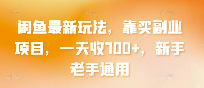 闲鱼最新玩法，靠买副业项目，一天收700+，新手老手通用【揭秘】-点子口袋网