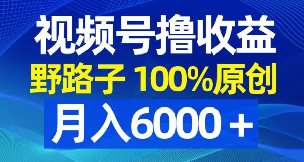 视频号野路子撸收益，100%原创，条条爆款，月入6000＋【揭秘】-点子口袋网