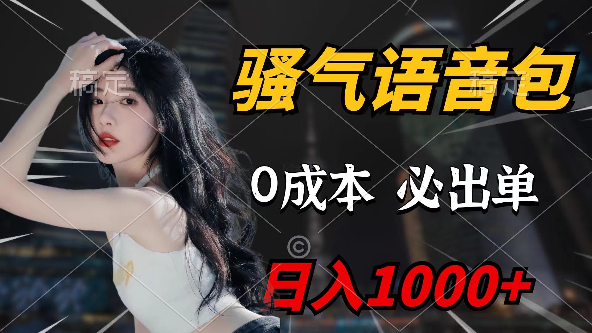 (9517期)骚气语音包，0成本一天1000+闭着眼也能出单-点子口袋网