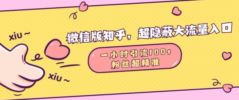 微信版知乎，超隐蔽流量入口1小时引流100人，粉丝质量超高【揭秘】-点子口袋网