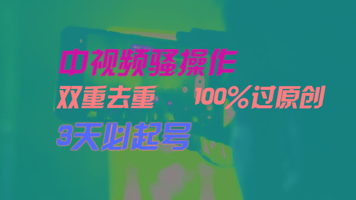 中视频骚操作，双重去重100%过原创，3天比必起号，简单无脑，月入3W+-点子口袋网