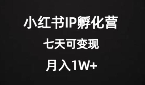 价值2000+的小红书IP孵化营项目，超级大蓝海，七天即可开始变现，稳定月入1W+-点子口袋网