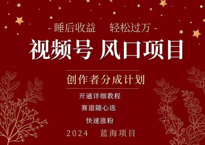 拥有睡眠收益的微信视频号大风口项目，轻松月入过万+，多赛道选择，可...-点子口袋网