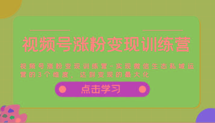 视频号涨粉变现训练营-实现微信生态私域运营的3个维度，达到变现的最大化-点子口袋网