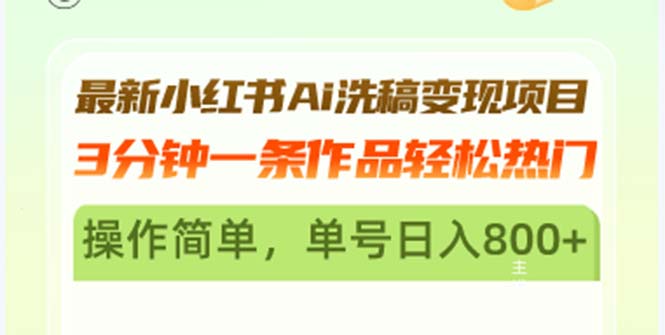 最新小红书Ai洗稿变现项目 3分钟一条作品轻松热门 操作简单，单号日入800+-点子口袋网