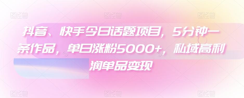 抖音、快手今日话题项目，5分钟一条作品，单日涨粉5000+，私域高利润单品变现-点子口袋网