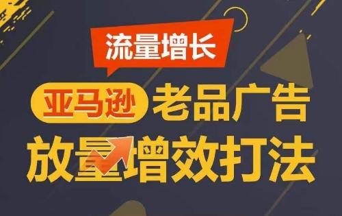 流量增长 亚马逊老品广告放量增效打法，短期内广告销量翻倍-点子口袋网