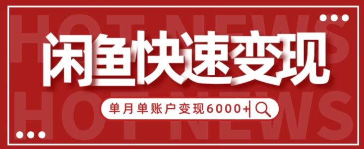 【新手项目】小白快速在闲鱼单月单账号变现6000+的秘密-点子口袋网