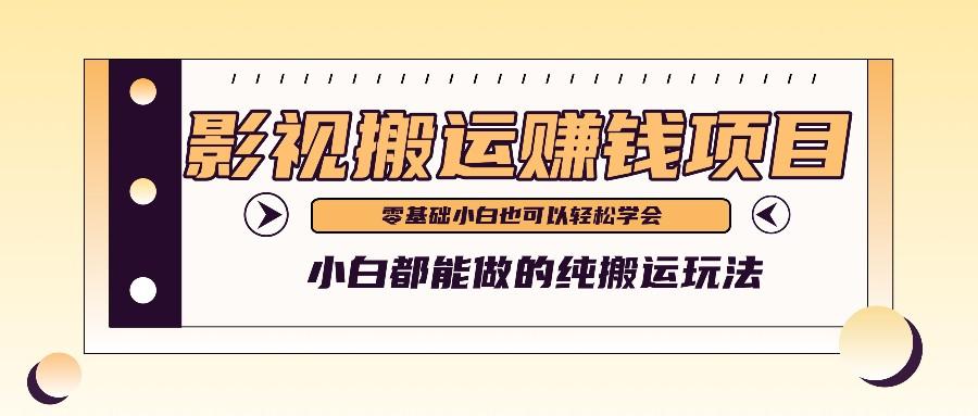 手把手教你操作影视搬运项目，小白都能做零基础也能赚钱-点子口袋网