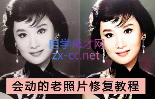 AI老相片视频变现训练营-点子口袋网
