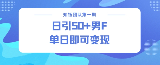 男粉引流新方法不违规，当日即可变现-点子口袋网