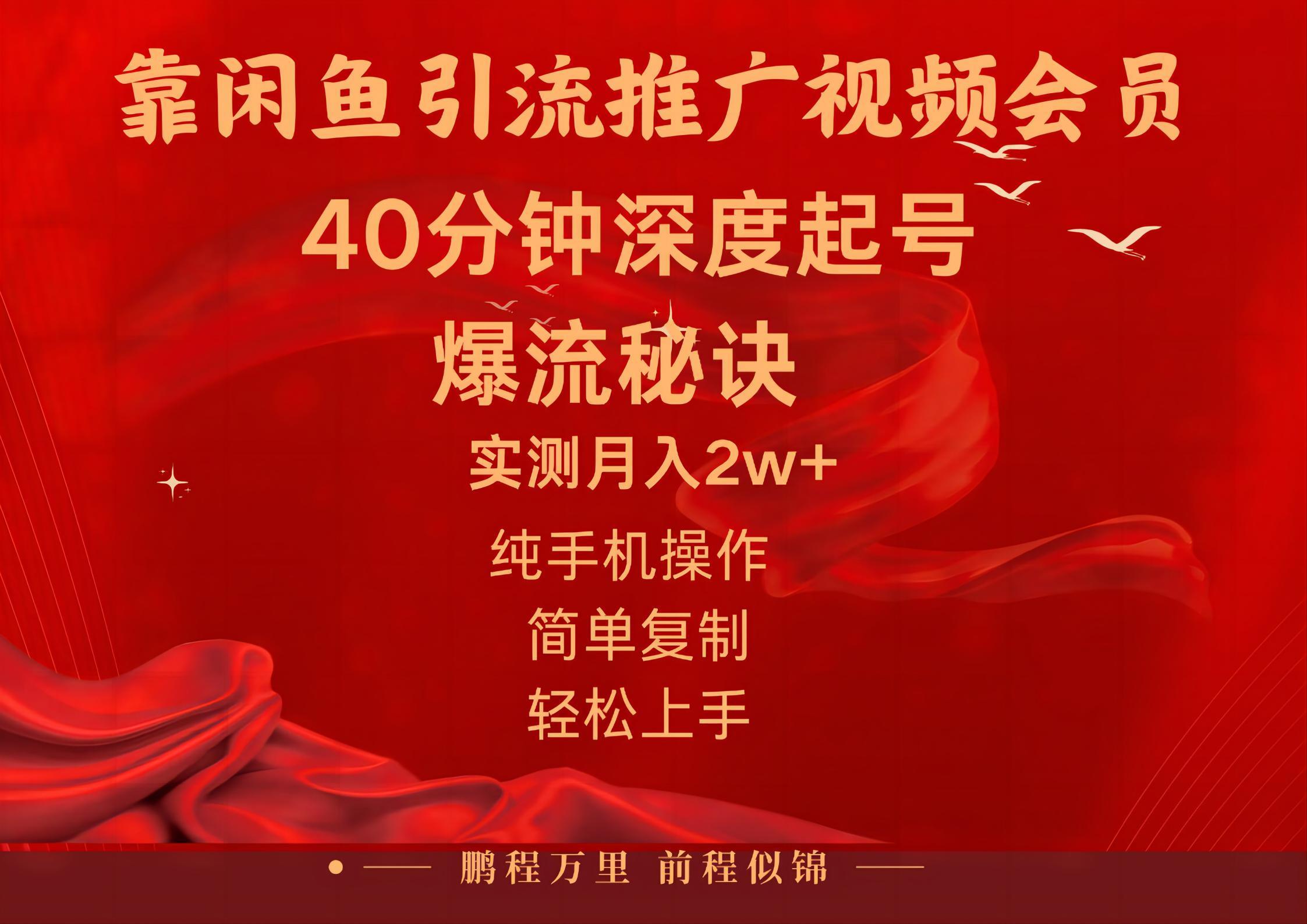 闲鱼暴力引流推广视频会员，能做到日入2W+，操作简单-点子口袋网