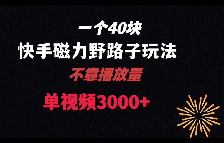 一个40块，快手联合美团磁力新玩法，无视机制野路子玩法，单视频收益4位数【揭秘】-点子口袋网