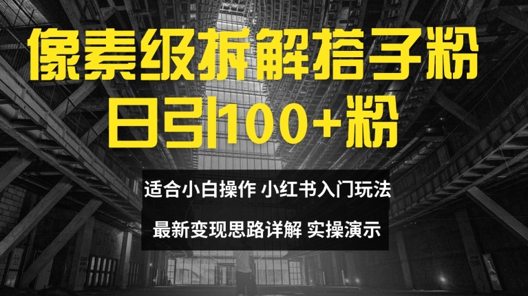像素级拆解搭子粉，日引100+，小白看完可上手，最新变现思路详解【揭秘】-点子口袋网