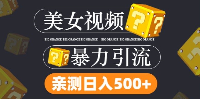 搬运tk美女视频全网分发，日引s粉300+，轻松变现，不限流量不封号【揭秘】-点子口袋网