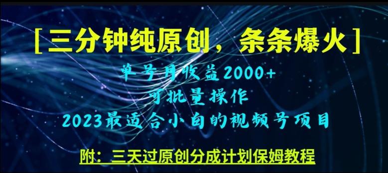 三分钟制作视频号纯原创，条条爆款，轻松月入过万【揭秘】-点子口袋网