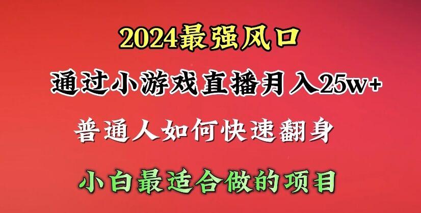 (10020期)2024年最强风口，通过小游戏直播月入25w+单日收益5000+小白最适合做的项目-点子口袋网