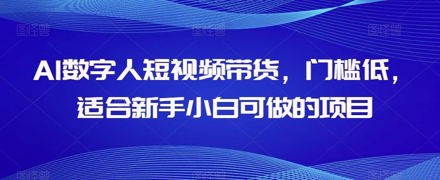 AI数字人短视频带货，门槛低，适合新手小白可做的项目-点子口袋网