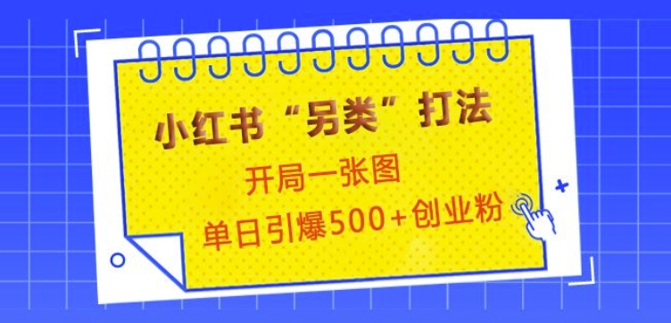 小红书“另类”打法，开局一张图，单日引爆500+精准创业粉【揭秘】-点子口袋网