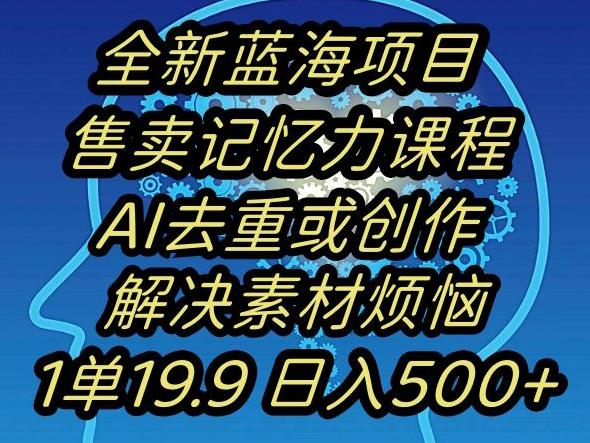 蓝海项目记忆力提升，AI去重，一单19.9日入500+【揭秘】-点子口袋网
