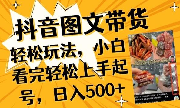 抖音图文带货已过时?那你不如仔细看看这个，小白看完轻松上手起号，日入500+不是梦【揭秘】-点子口袋网