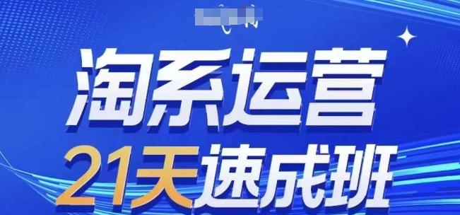 淘系运营21天速成班(更新24年7月)，0基础轻松搞定淘系运营，不做假把式-点子口袋网