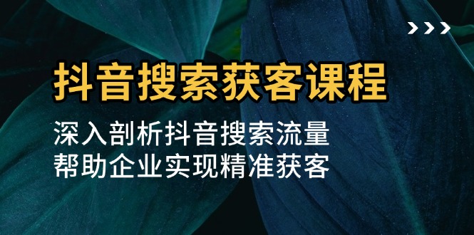 抖音搜索获客课程：深入剖析抖音搜索流量，帮助企业实现精准获客-点子口袋网