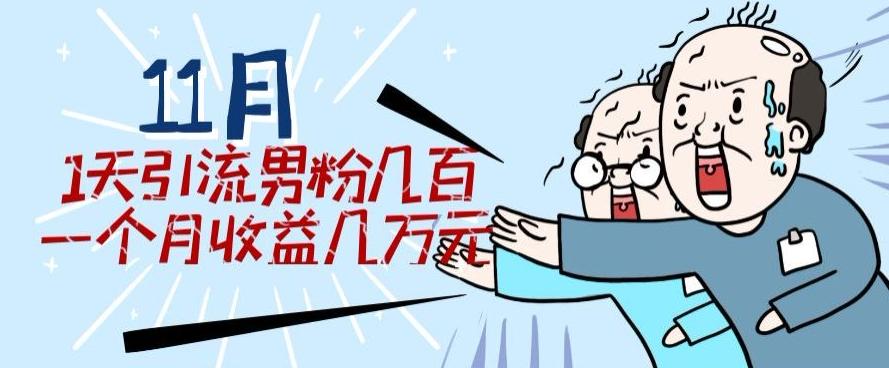 11月最新每天引流男粉300+一个月收益几万元-点子口袋网