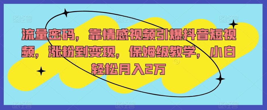 流量密码，靠情感视频引爆抖音短视频，涨粉到变现，保姆级教学，小白轻松月入2万【揭秘】-点子口袋网