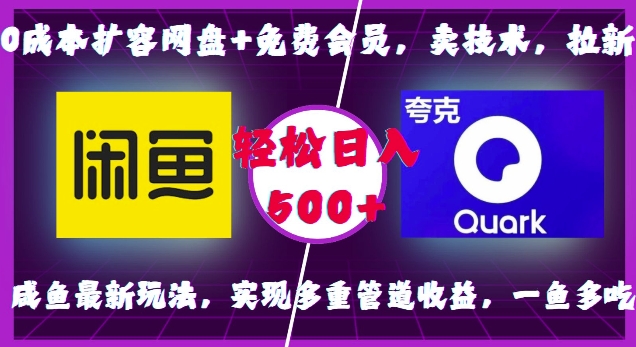 0成本扩容网盘+免费会员，卖技术，拉新，咸鱼最新玩法，实现多重管道收益，一鱼多吃，轻松日入500+-点子口袋网