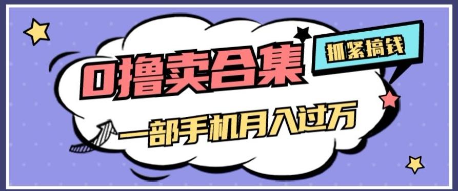0撸项目月入过万，售卖全套ai工具合集，一单29.9元，一部手机即可【揭秘】-点子口袋网