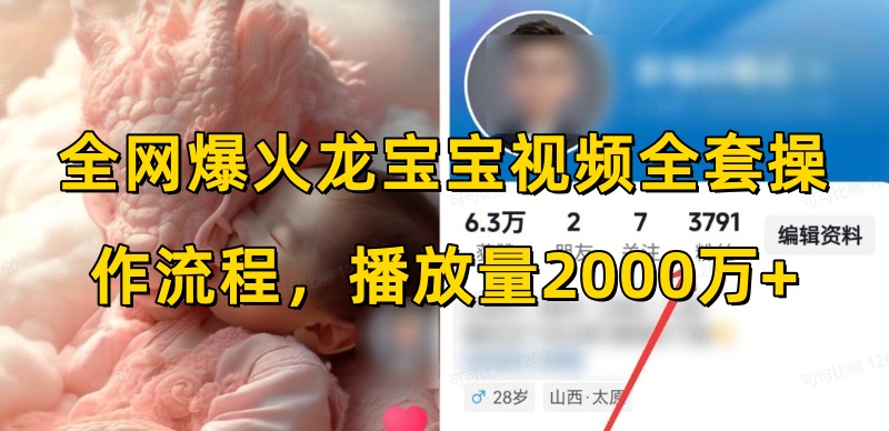 全网爆火龙宝宝视频全套操作流程，播放量2000万+-点子口袋网