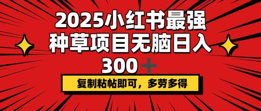 2025小红书最强种草项目，无脑日入300+，复制粘帖即可，多劳多得-点子口袋网