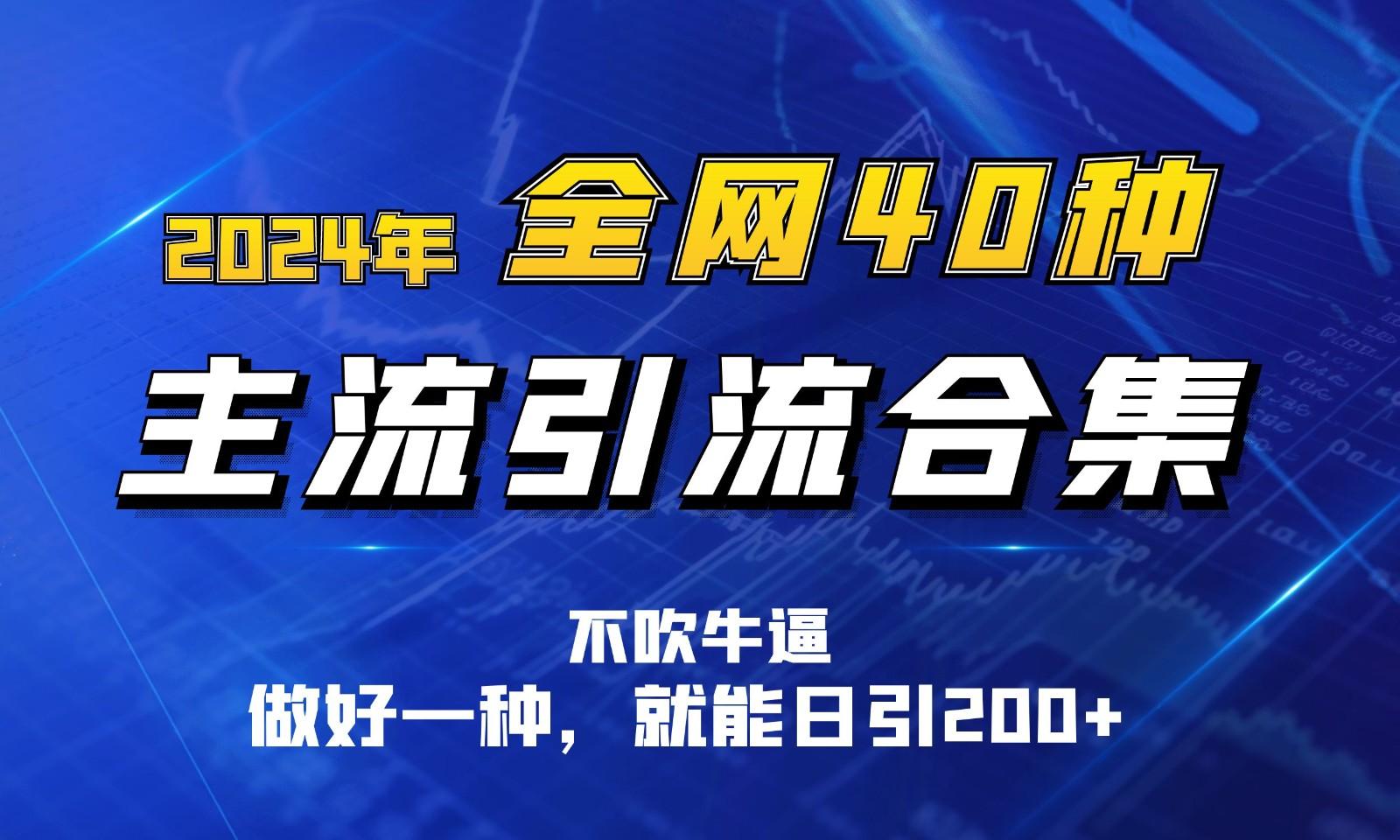 2024年全网40种暴力引流合计，做好一样就能日引100+-点子口袋网