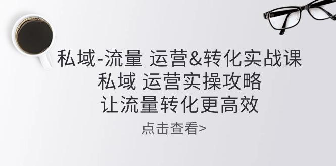 私域-流量 运营&转化实操课：私域 运营实操攻略 让流量转化更高效-点子口袋网