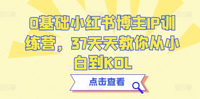 0基础小红书博主IP训练营，37天天教你从小白到KOL-点子口袋网