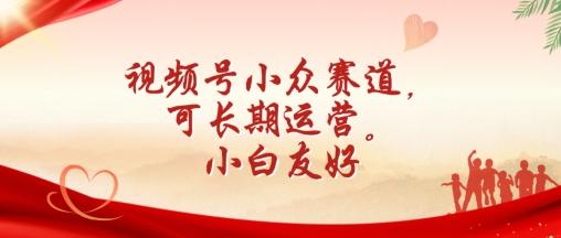 视频号小众赛道，可长期运营，小白友好【揭秘】-点子口袋网