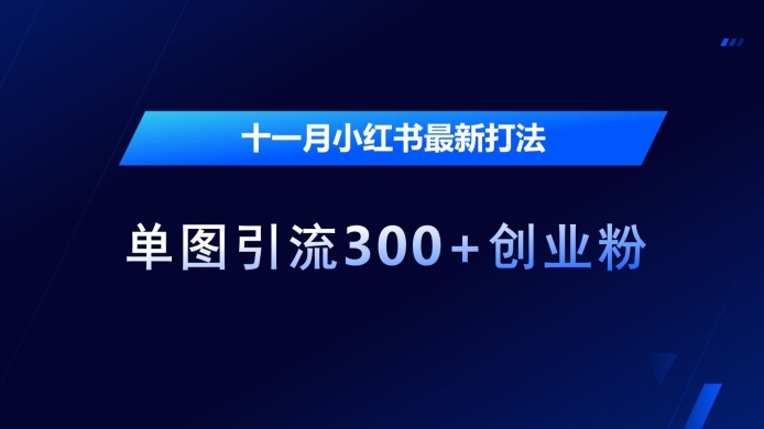十一月小红书最新打法，单图引流300+创业粉【揭秘】-点子口袋网