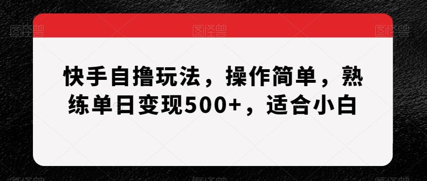 快手自撸玩法，操作简单，熟练单日变现500+，适合小白【揭秘】-点子口袋网